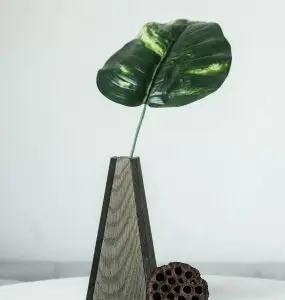 Home product 07